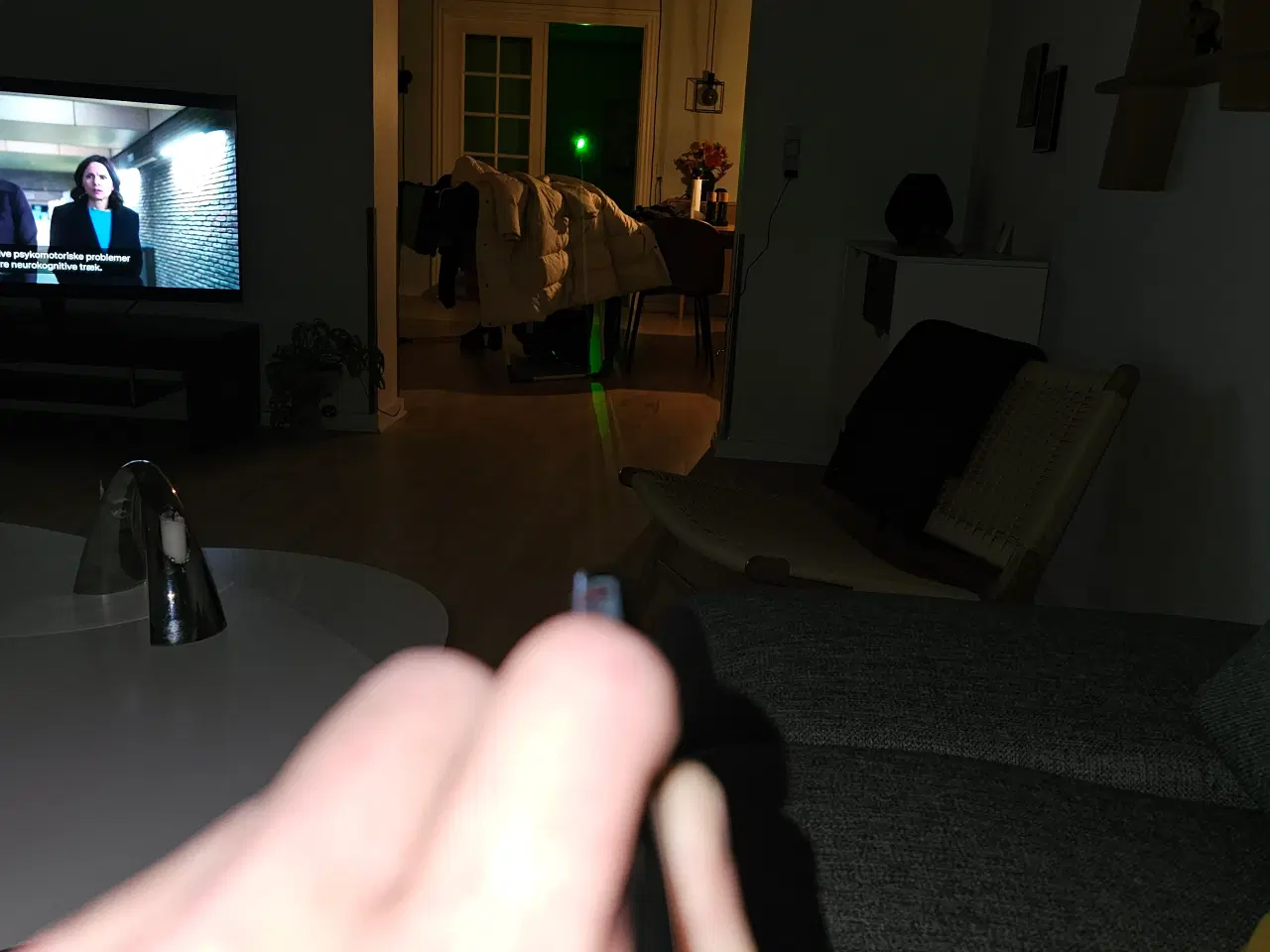 Billede 1 - laserpointer professionel