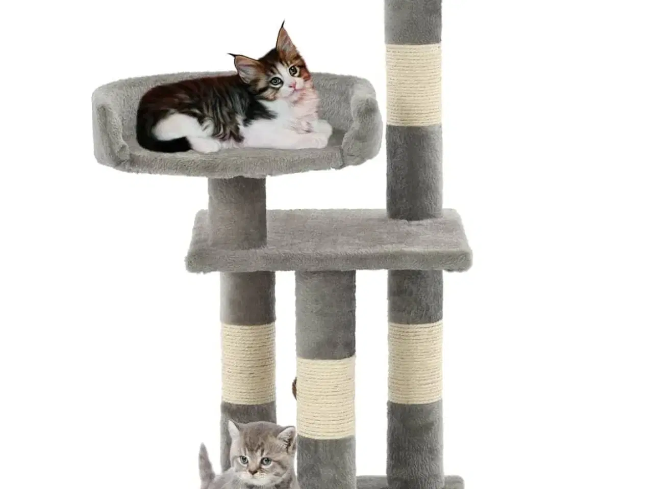 Billede 2 - Kradsetræ til katte med sisal-kradsestolper 65 cm grå