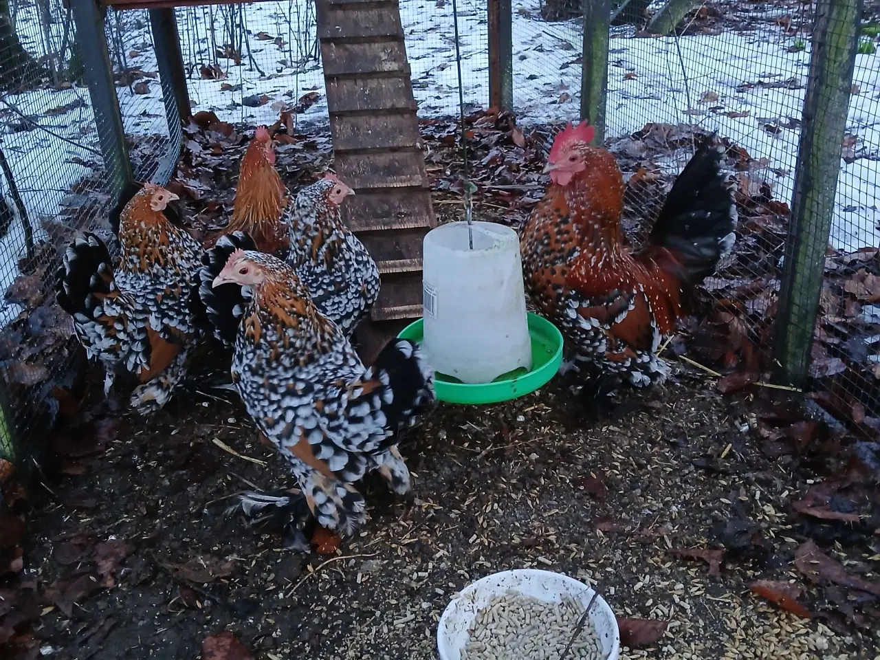 Billede 2 - Millefleur. 