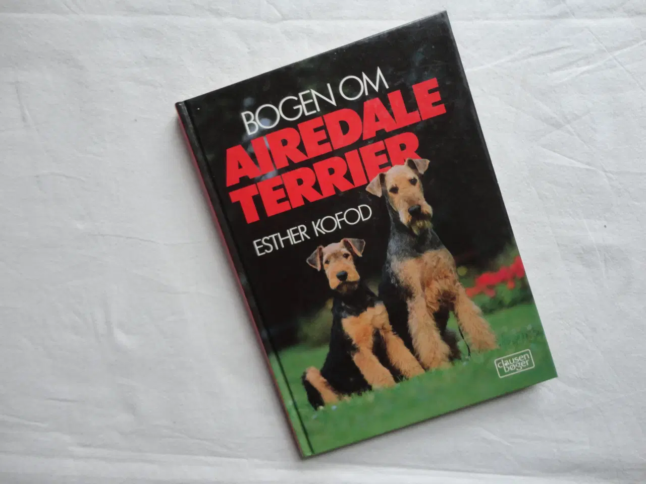 Billede 1 - Terrier Airedale
