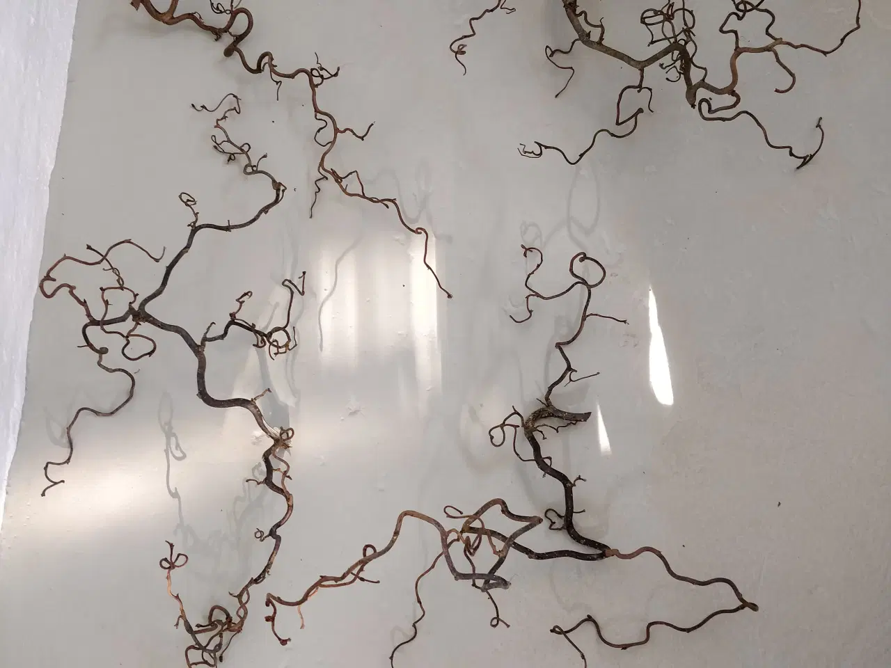 Billede 1 - Troldegrene