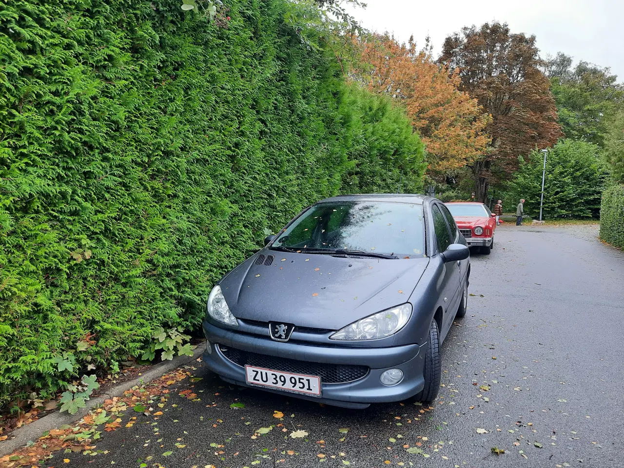 Billede 2 - Peugeot 206 HDI 5 dørs 