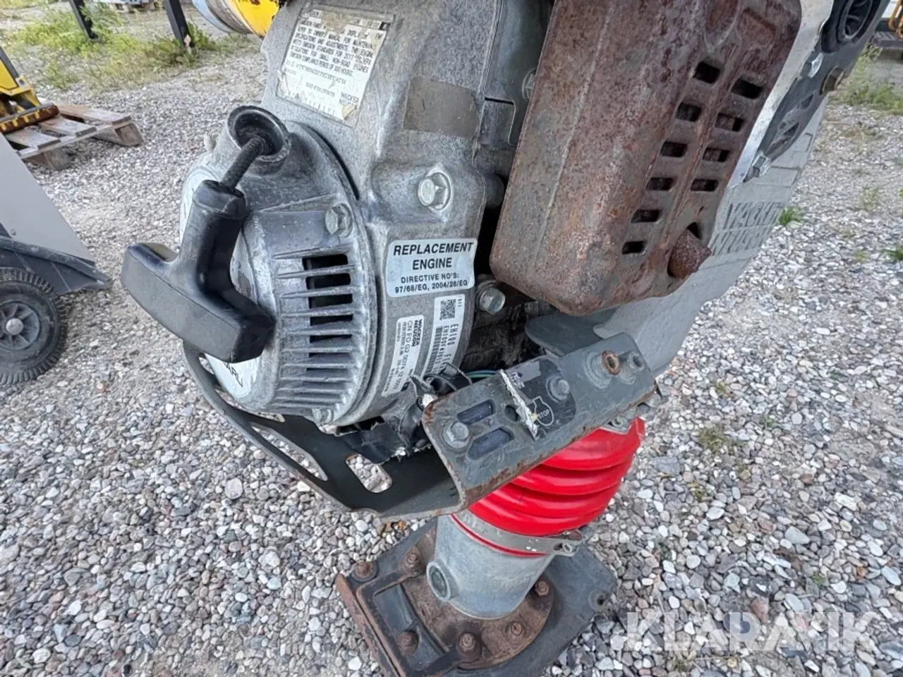 Billede 10 - Jordloppe Wacker BS60-4