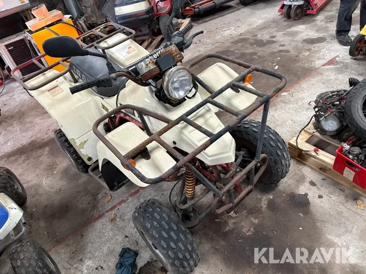 Billede 2 - Atv Blueberry