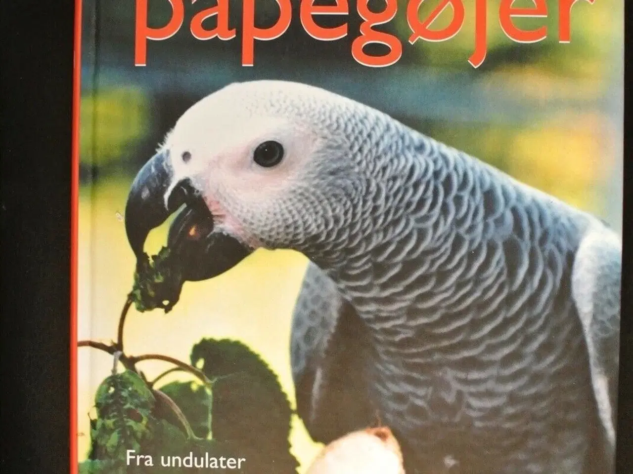 Billede 1 - tamme papegøjer - fra undulater til araer. valg, k