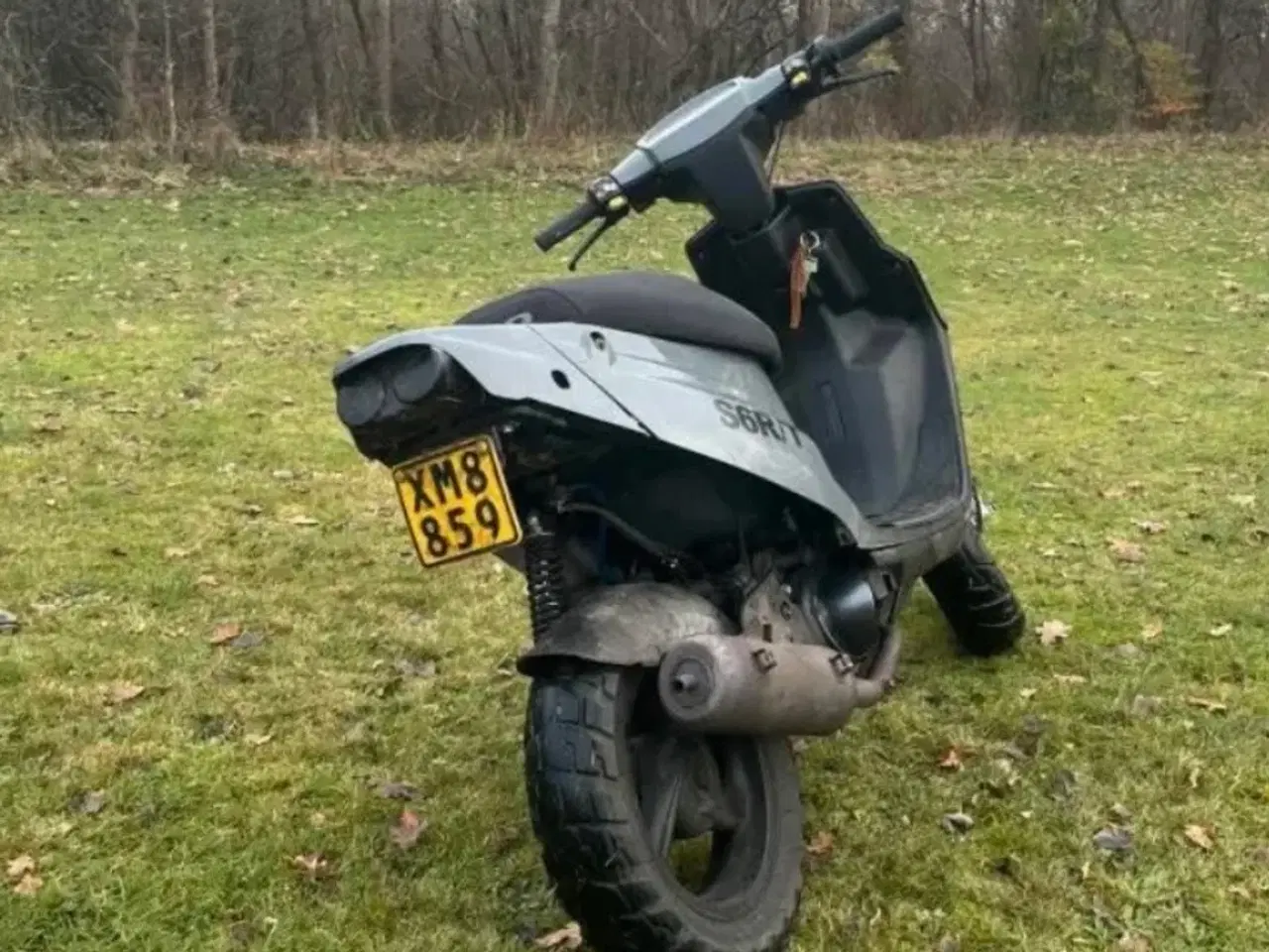 Billede 3 - PGO Hot 50 årgang 2010