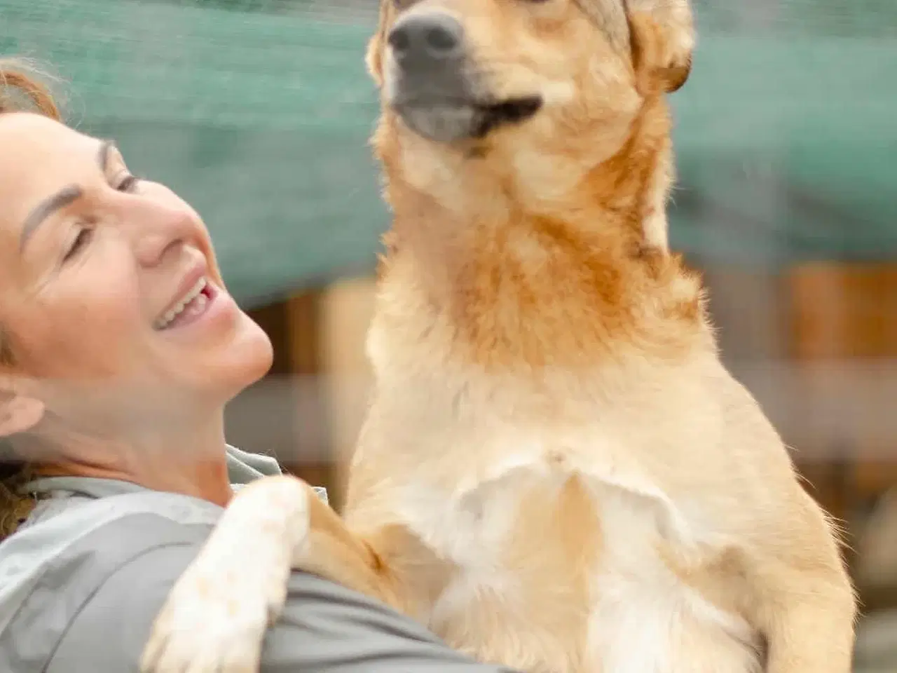 Billede 3 - Athena søger sin helt egen familie❤️