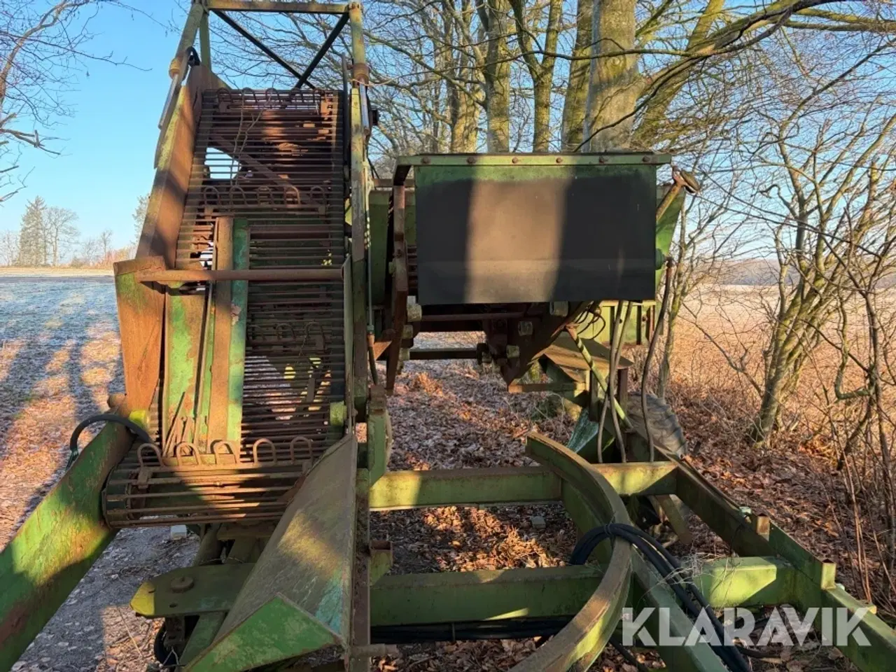 Billede 7 - Ruerenser Thyregods