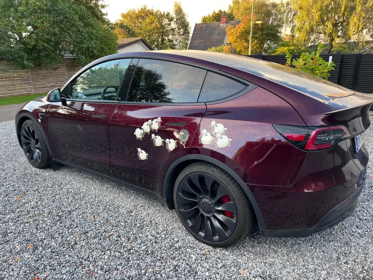 Billede 7 - Tesla Model Y  Performance AWD