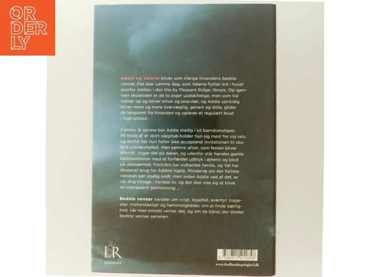 Billede 3 - Bedste venner af Jennifer Weiner (Bog)