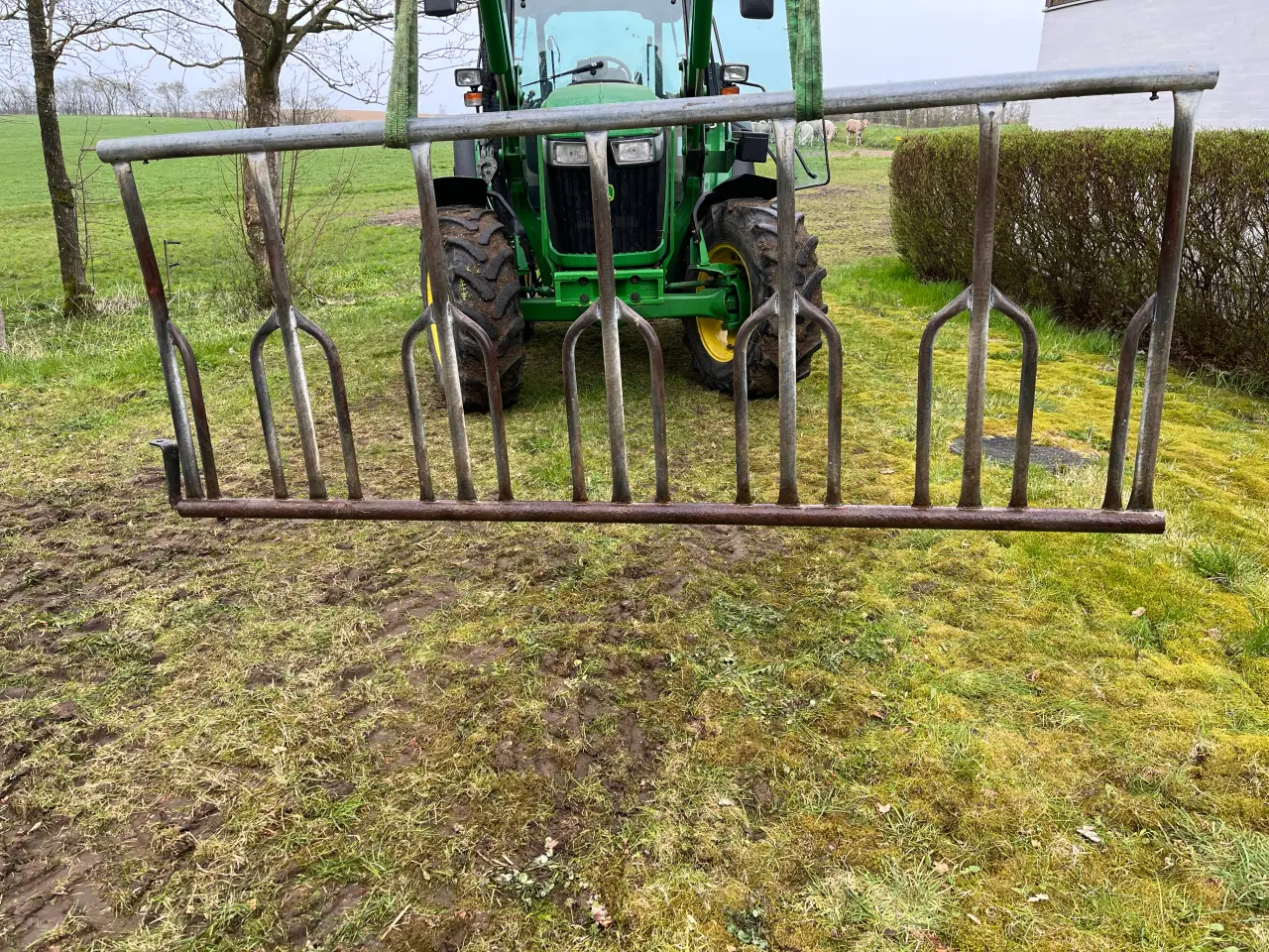 Billede 2 - Dan Egtved kvæginventar