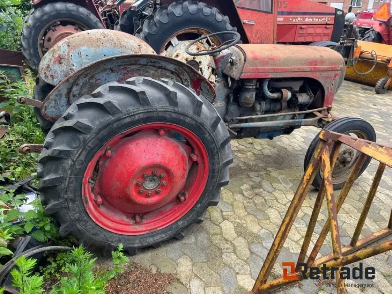 Billede 5 - Massey Ferguson Oldtimer