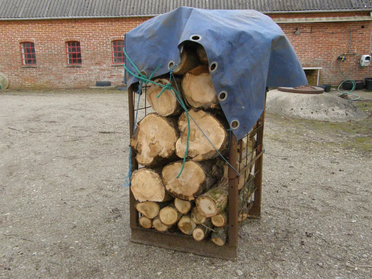 Billede 1 - Løvtræ