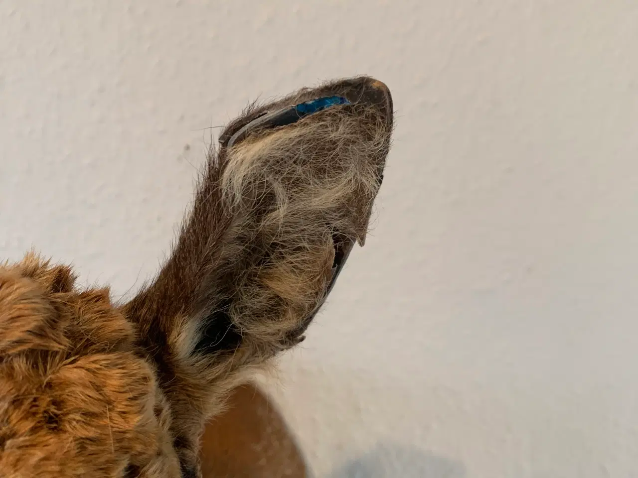 Billede 5 - Parykbuk skuldermonteret