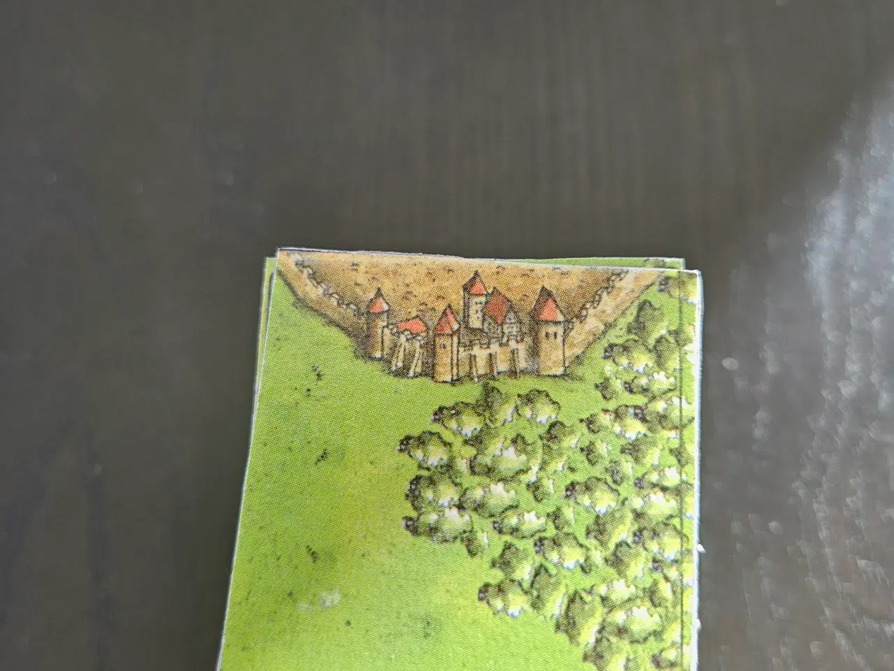 Billede 4 - Carcassonne fan udvidelser