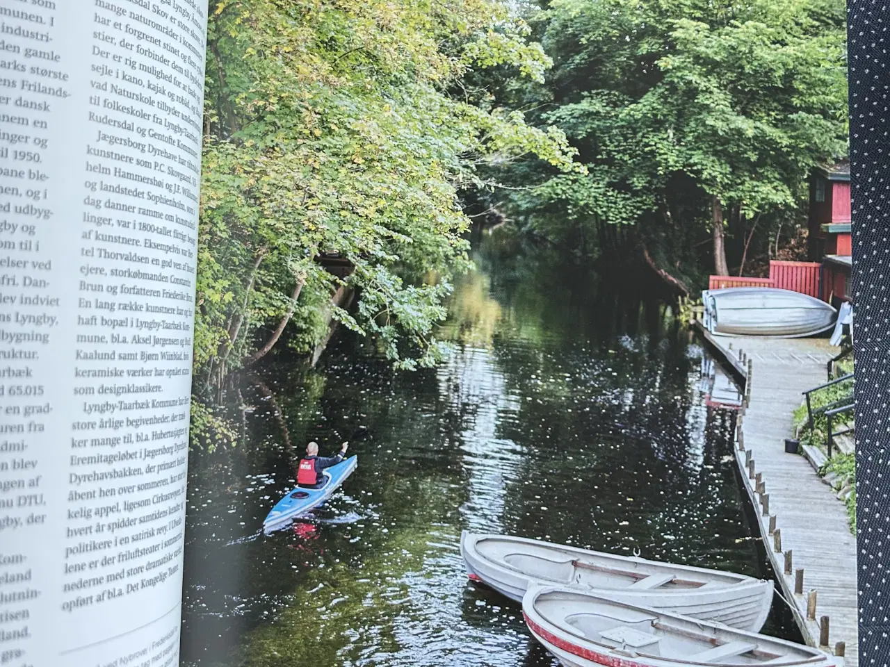 Billede 2 - Lyngby-Taarbæk Kommunes natur, kultur mm