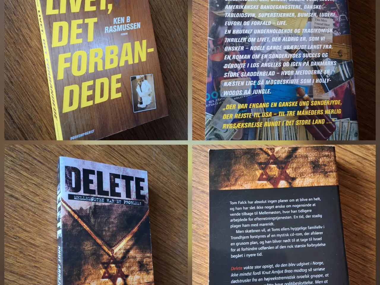 Billede 10 - BogUDsalg  5kr/stk. Samlet køb kan sendes. 