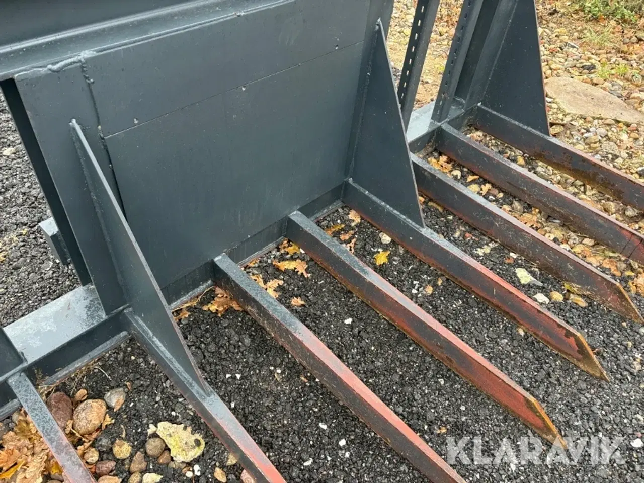 Billede 11 - Græsgrev