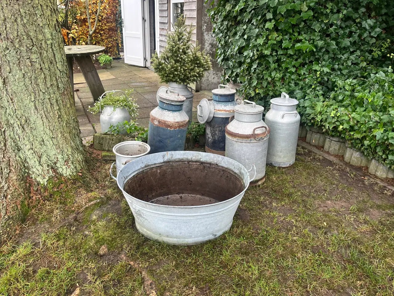 Billede 2 - Mælkejunger og zinkbalje 