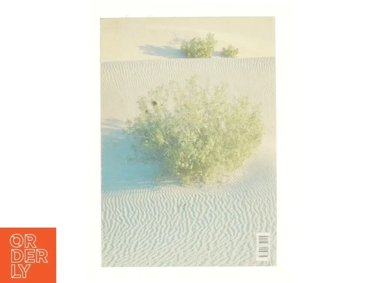 Billede 2 - Hvis kompetente barn?