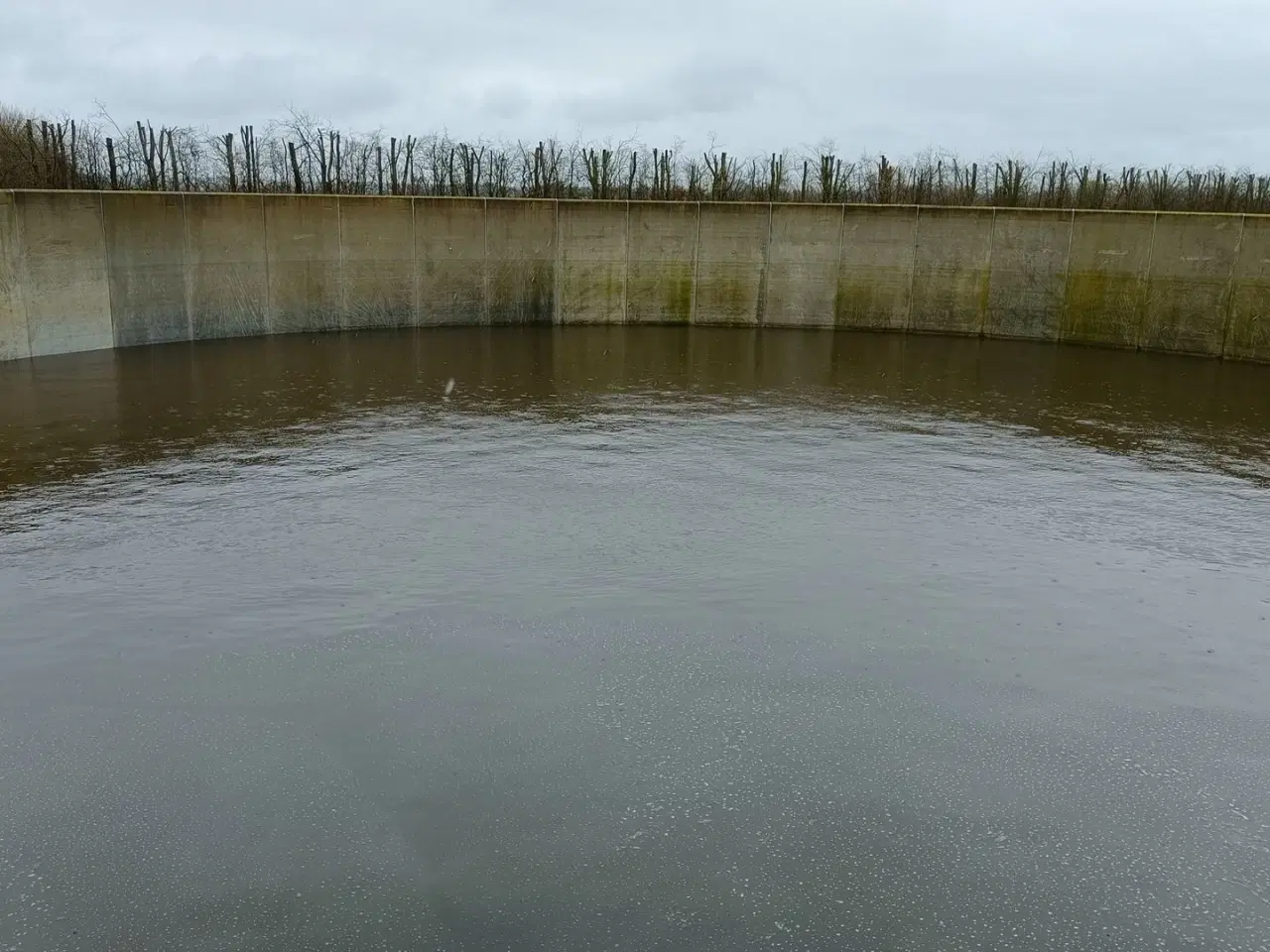 Billede 6 - - - - Gylletank 2000 m3