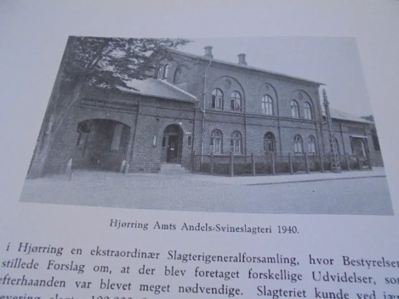 Billede 3 - Hjørring amts andels-svineslagteri 1891-1941 
