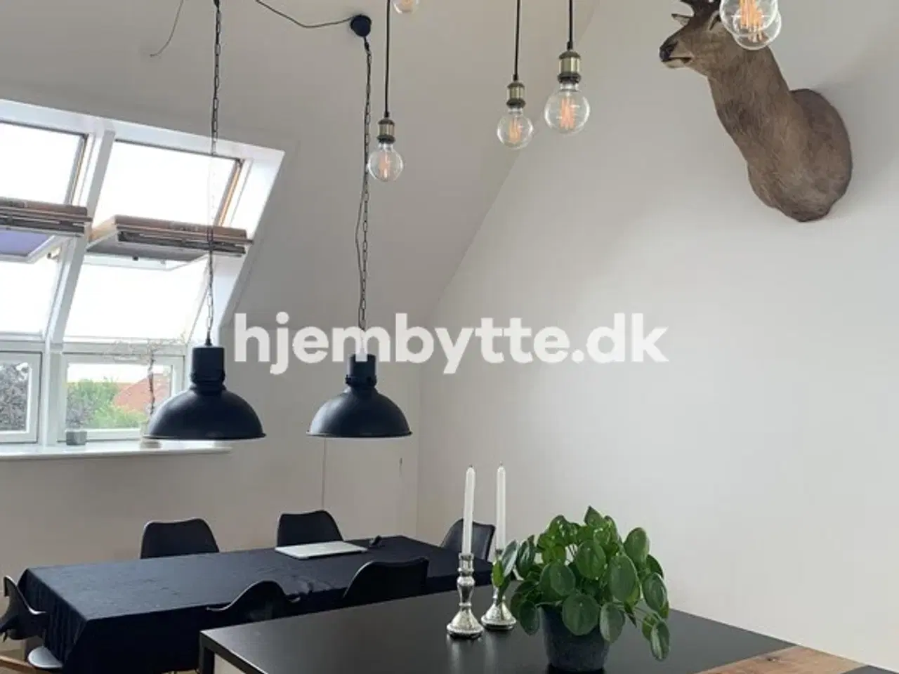 Billede 5 - Hjembytte - SkydebaneAlle