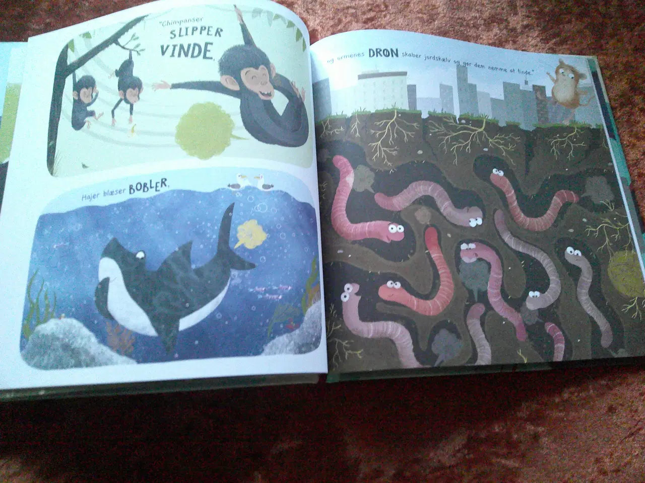 Billede 4 - Alle prutter, Jonny Leighton, 