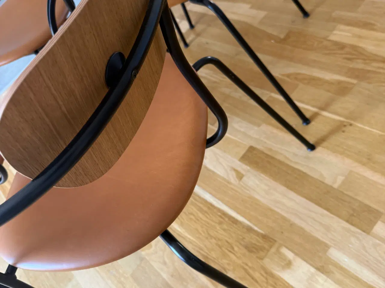 Billede 4 - &tradition av2 