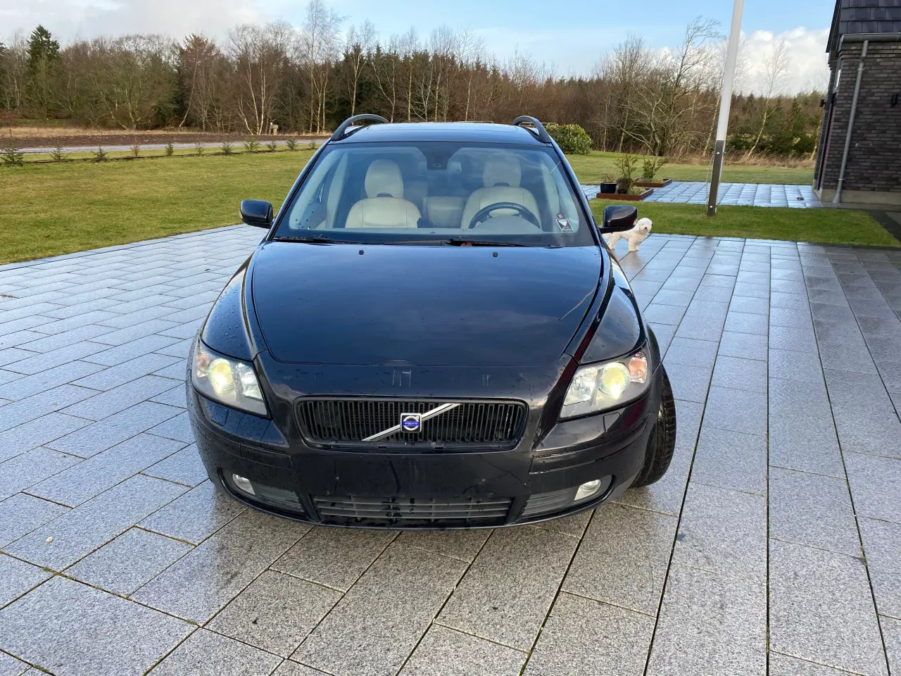 Billede 2 - Volvo V 50 2004