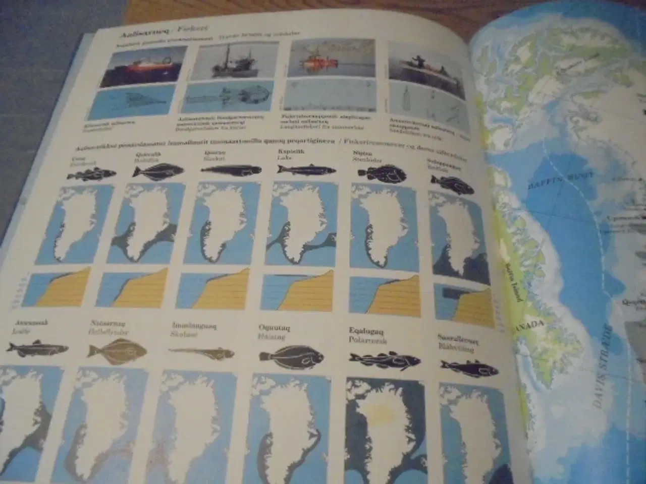 Billede 6 - Kalaallit Nunaat – Atlas – Grønland