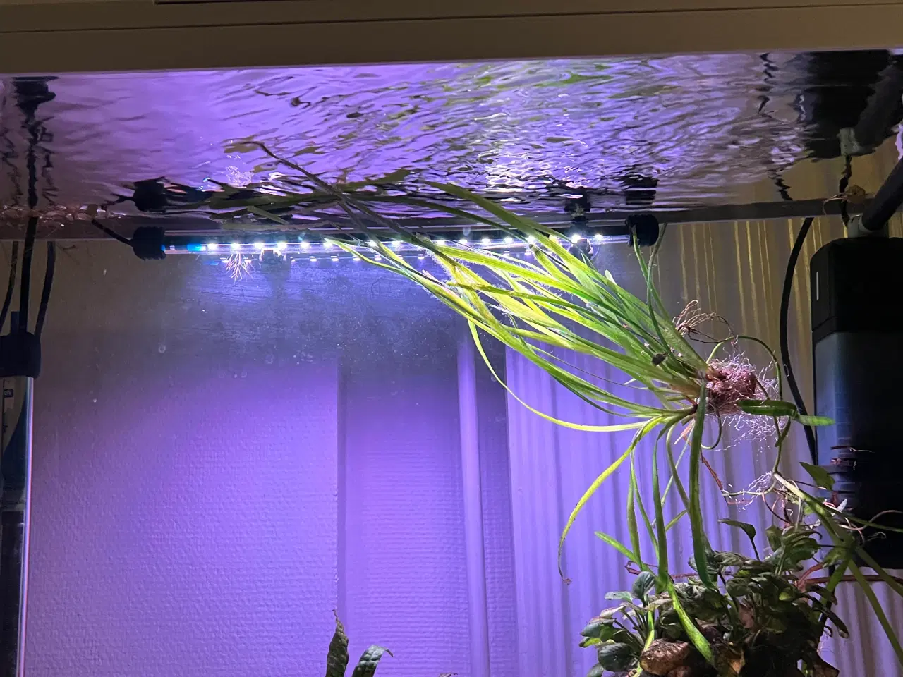 Billede 3 - 100 l akvarium fra Fish Street sælges