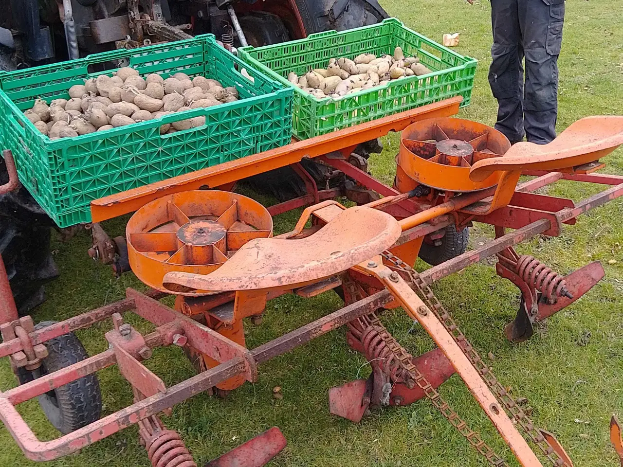 Billede 2 - Kartoffellægger.