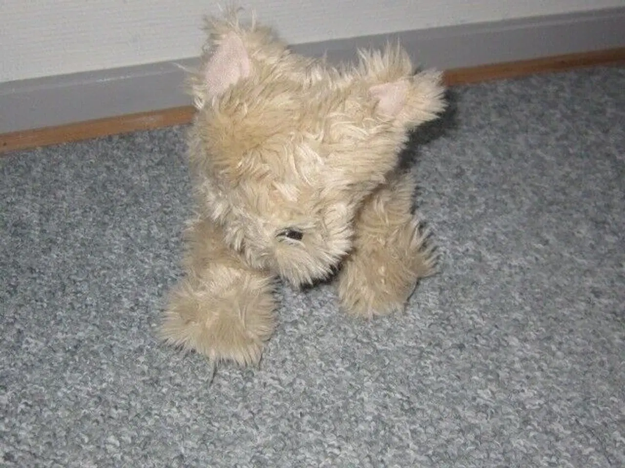 Billede 1 - Bamse, Hemogram