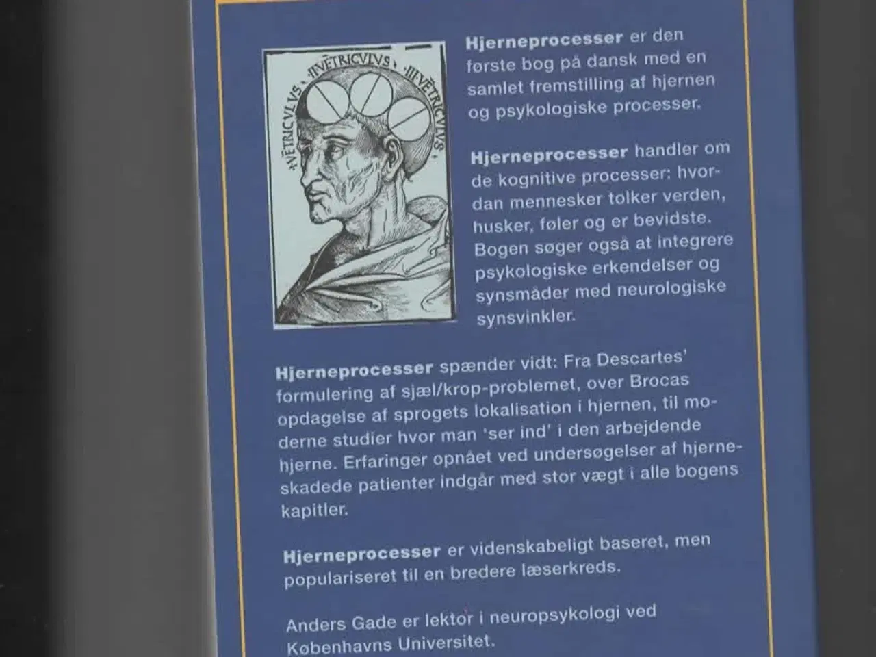 Billede 2 - psykologi