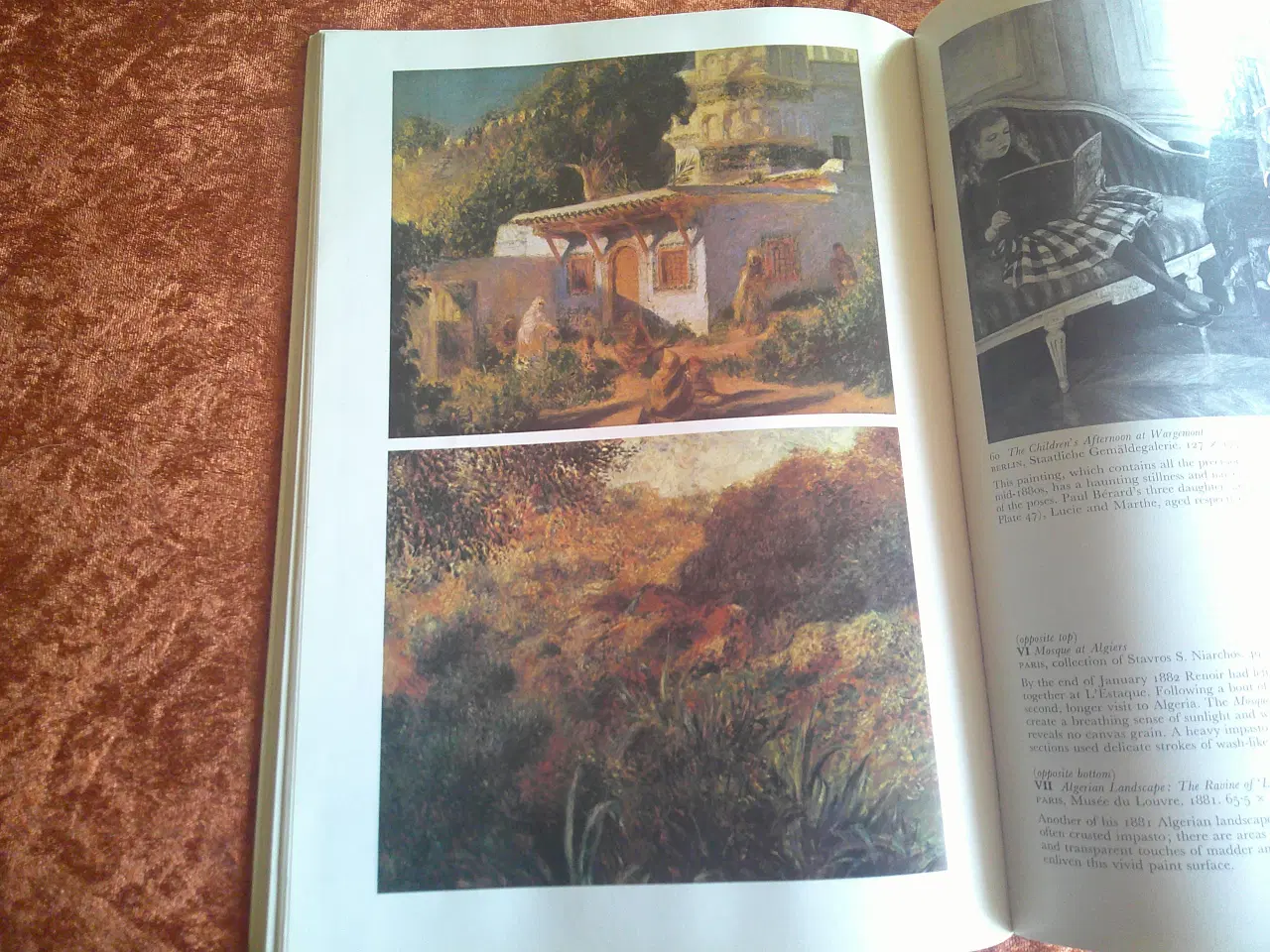 Billede 5 - Renoir, Anthea Callen