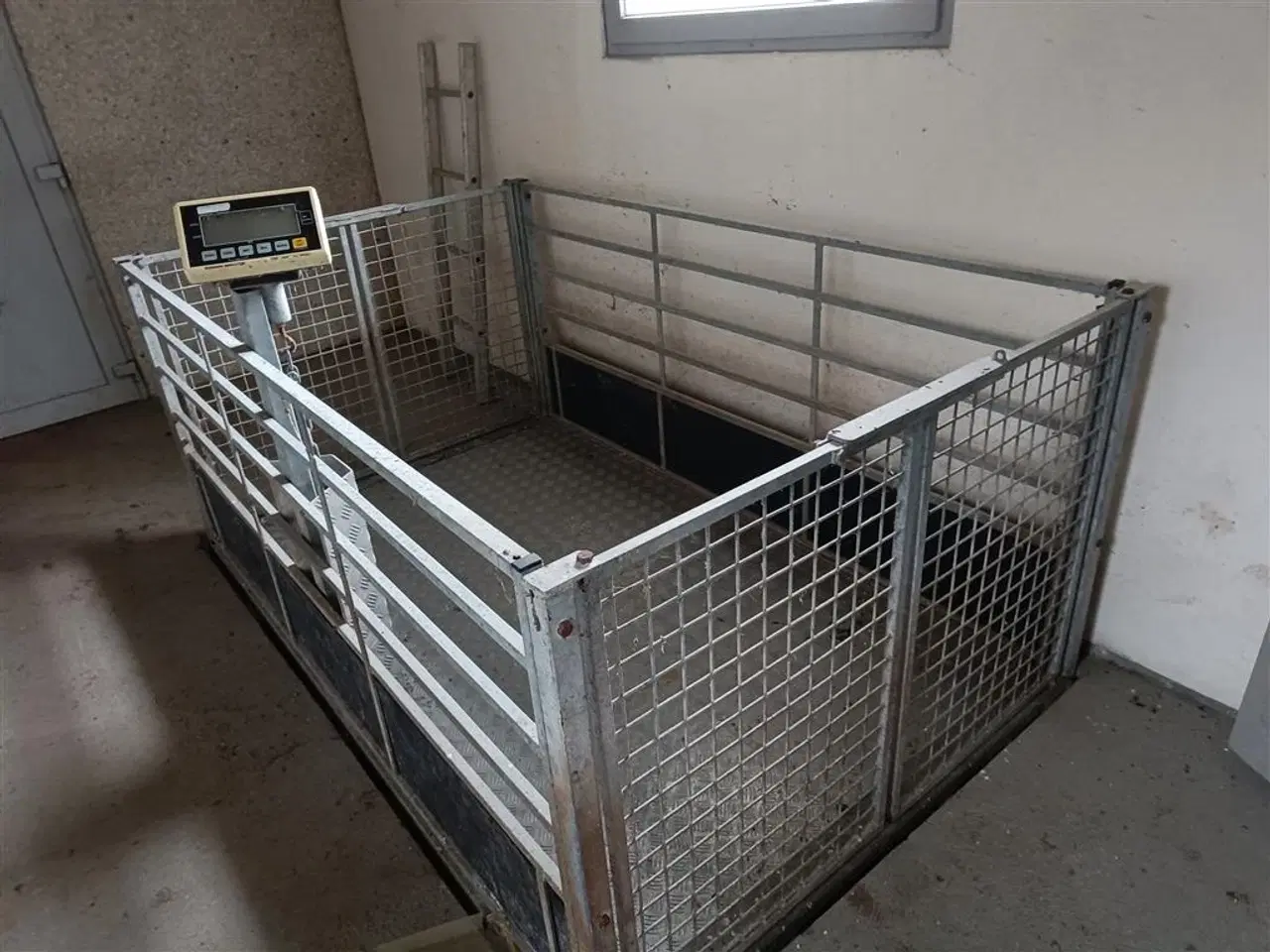 Billede 3 - Bjerringbro Svinevægt Brovægt til grise digital MOMSFRI