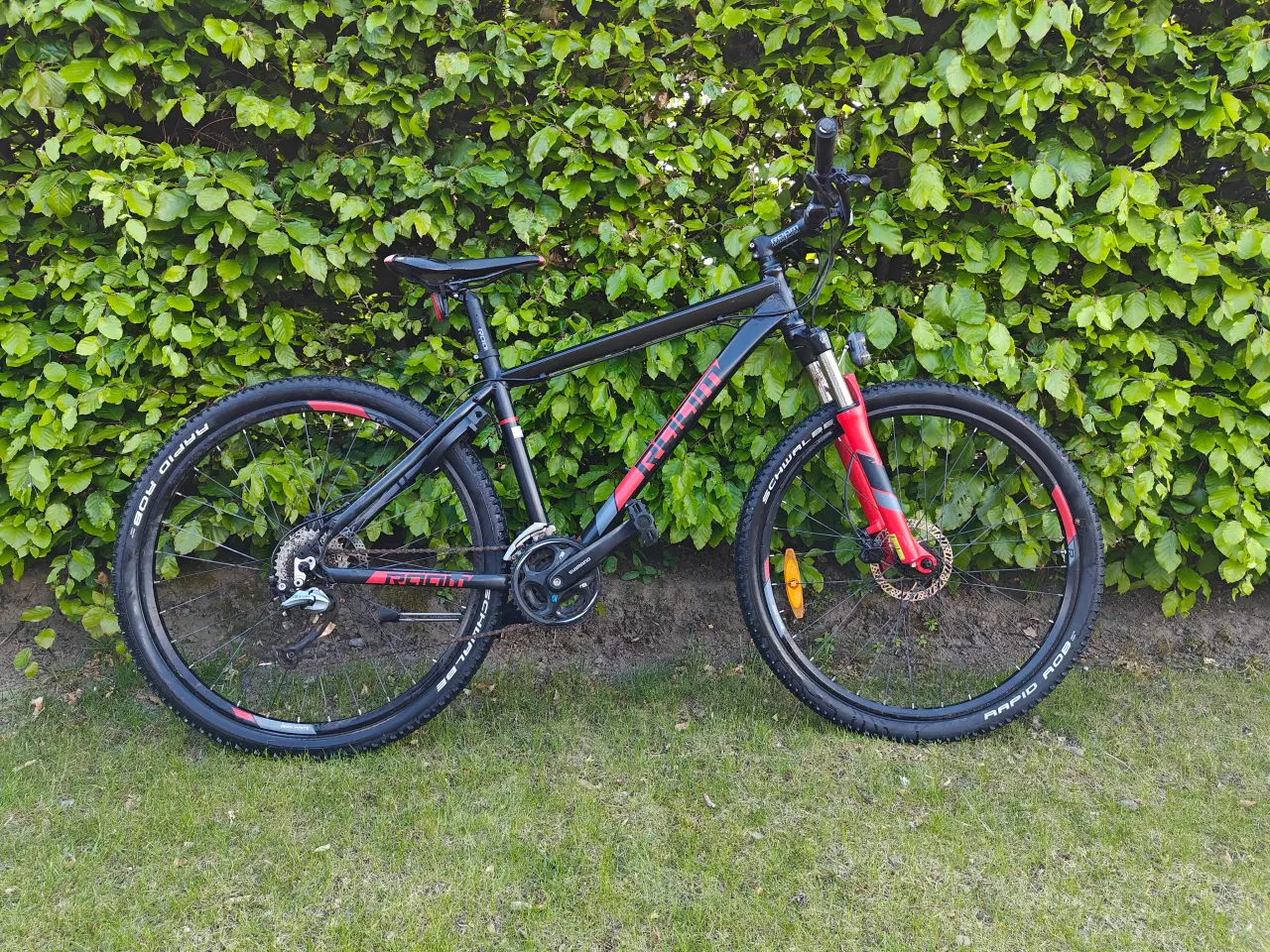 Billede 1 - Raam CR 44cm junior mountainbike