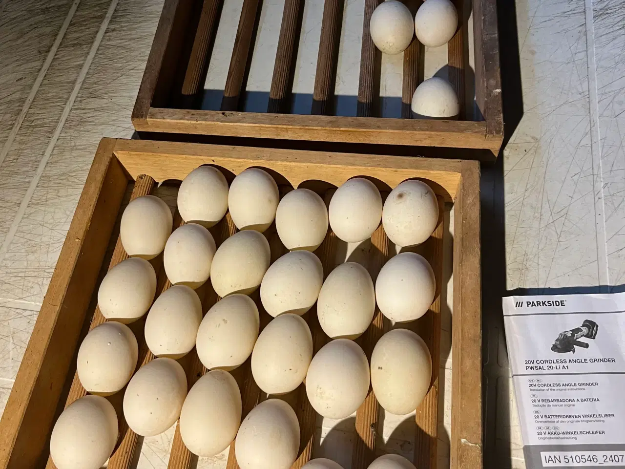 Billede 1 - Landænder rugeæg