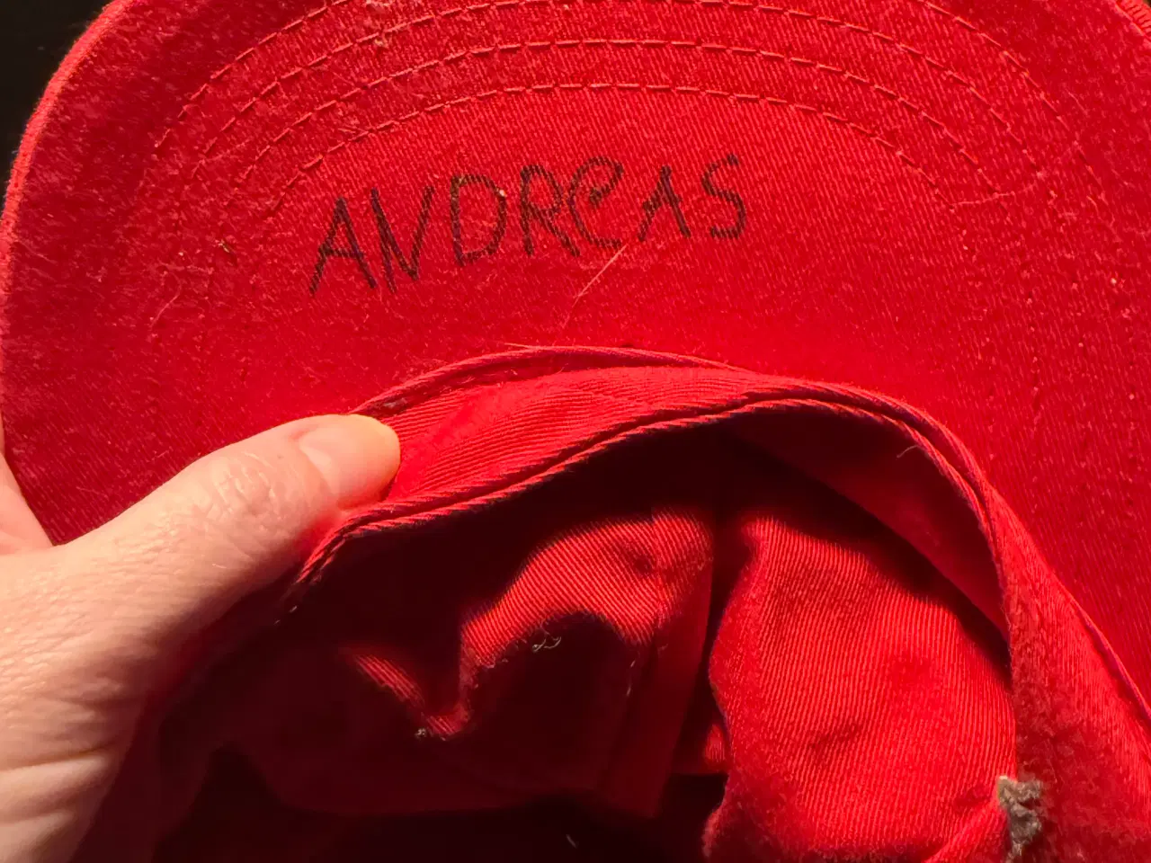 Billede 2 - Pyrus nissehue 