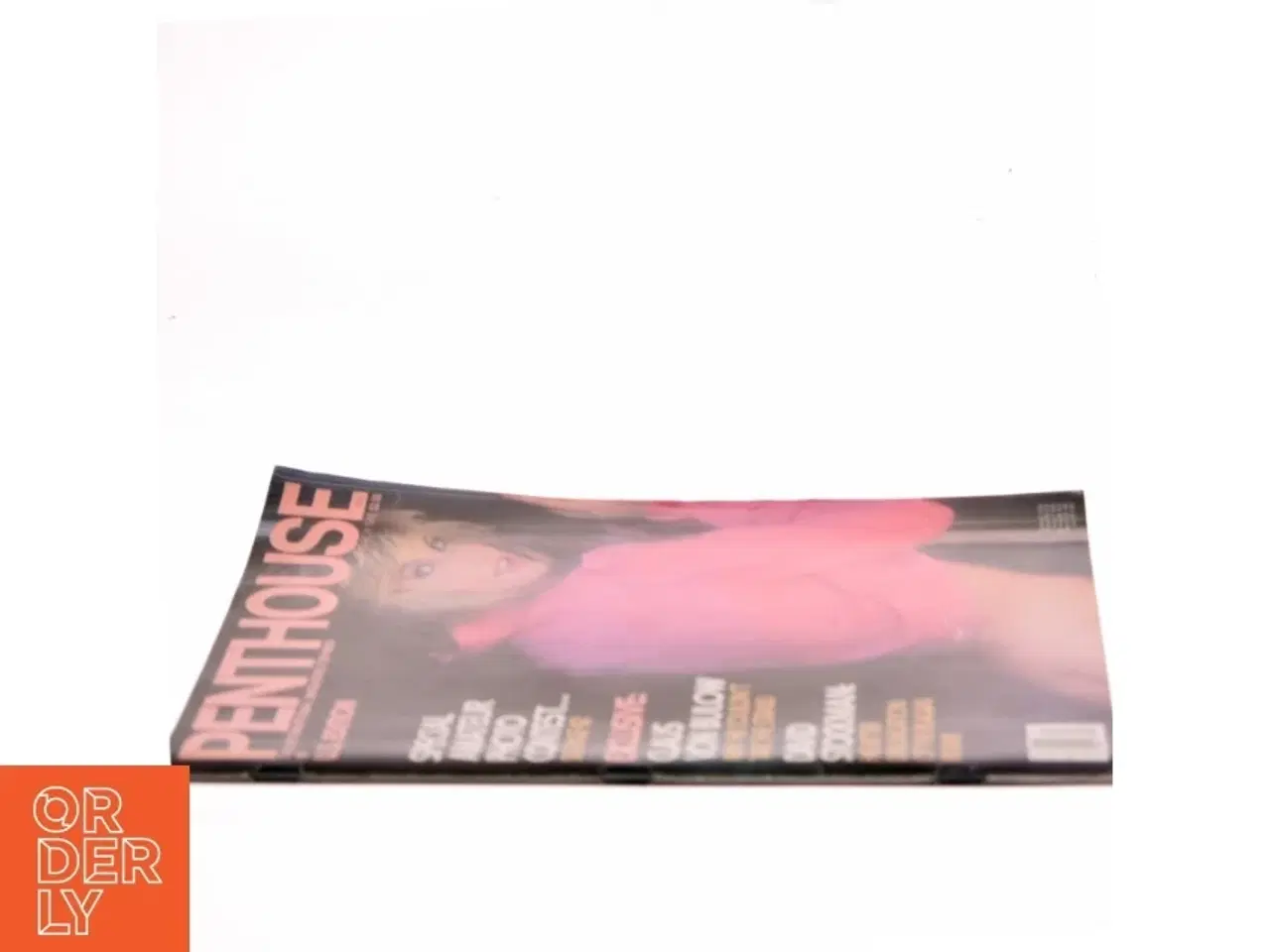 Billede 2 - Penthouse