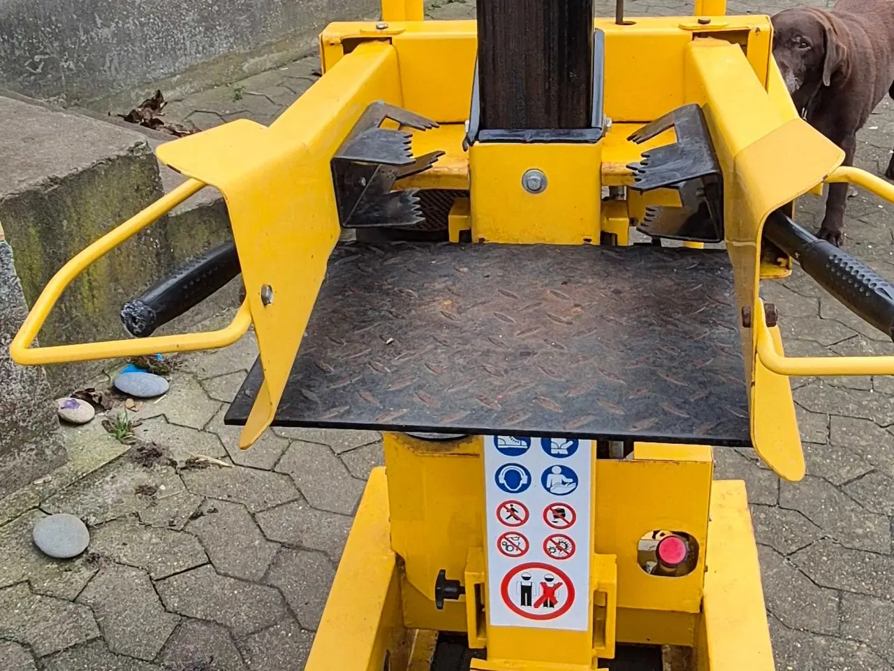 Billede 3 - Brændekløver 