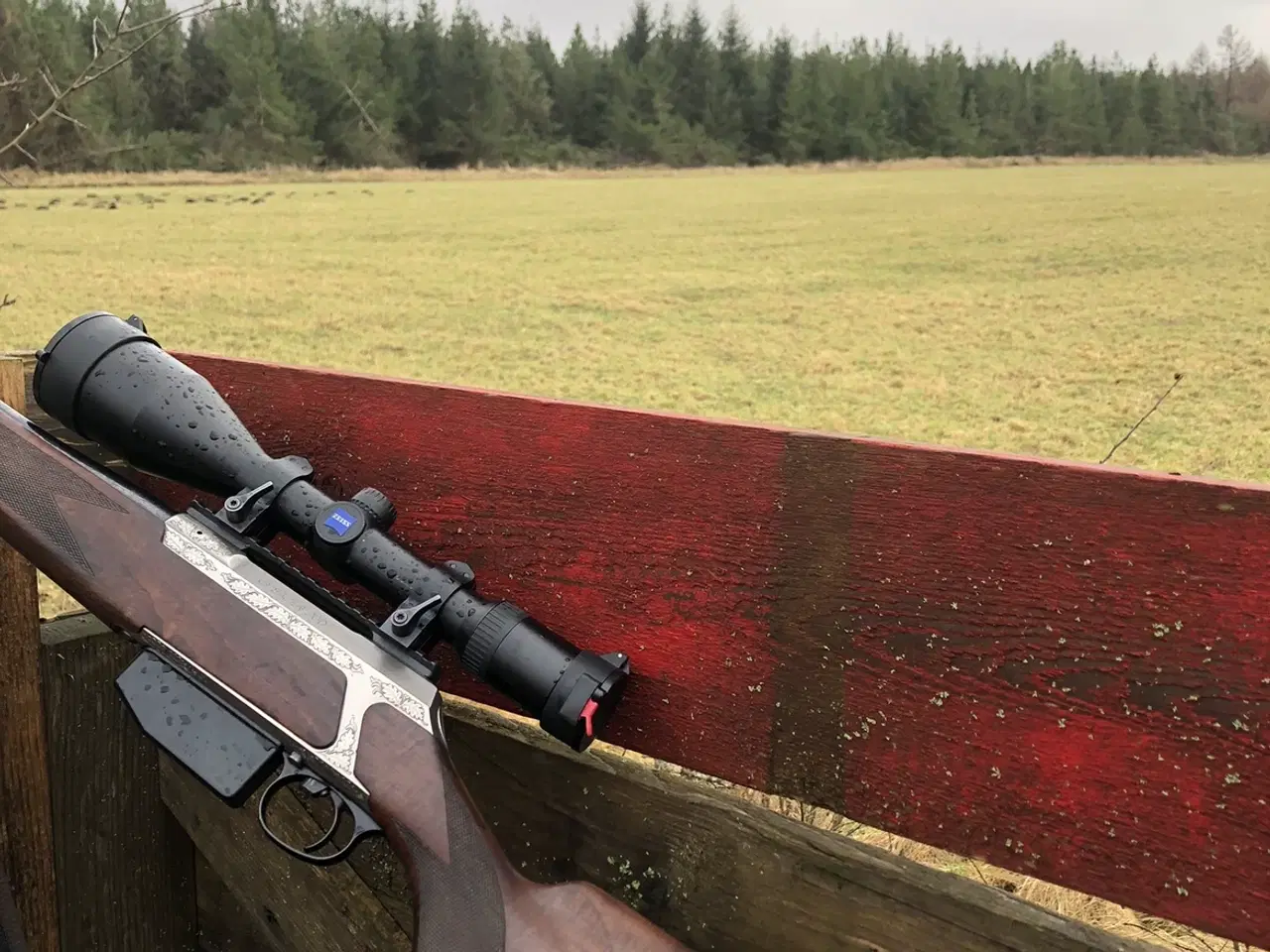 Billede 3 - Sauer 200 lux egeløv