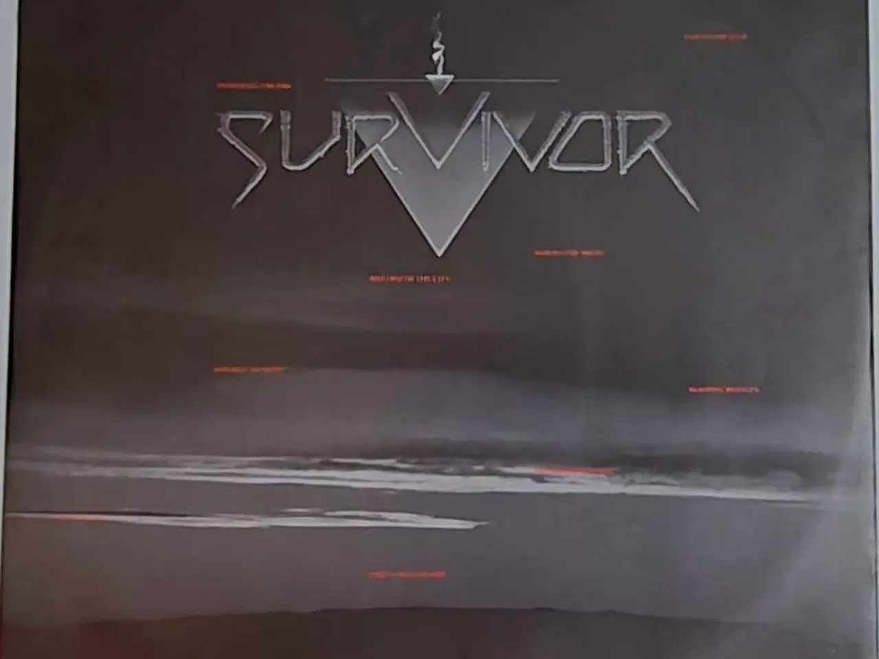 Billede 3 - SURVIVOR : Too hot to sleep