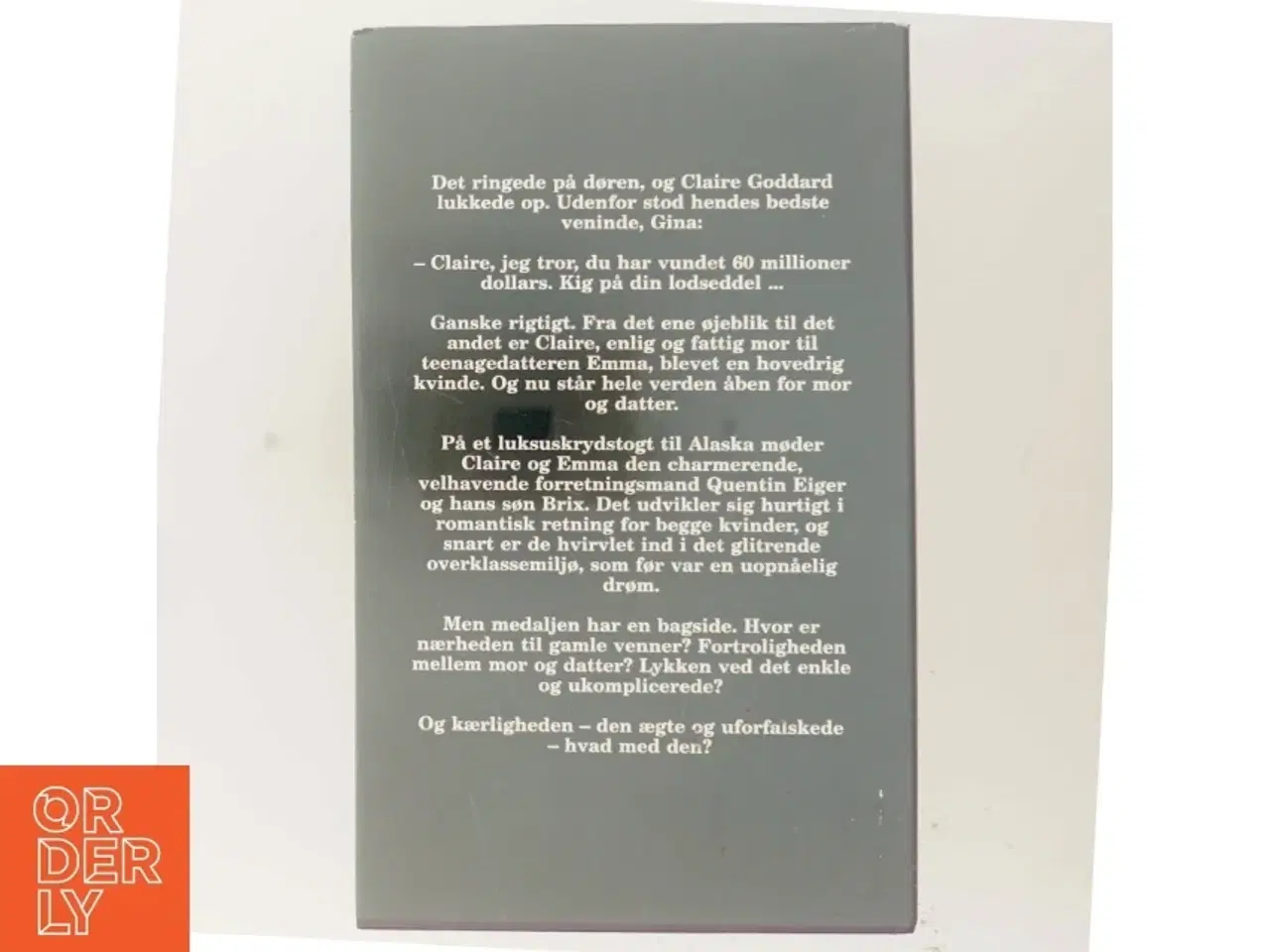 Billede 3 - Den store gevinst af Judith Michael