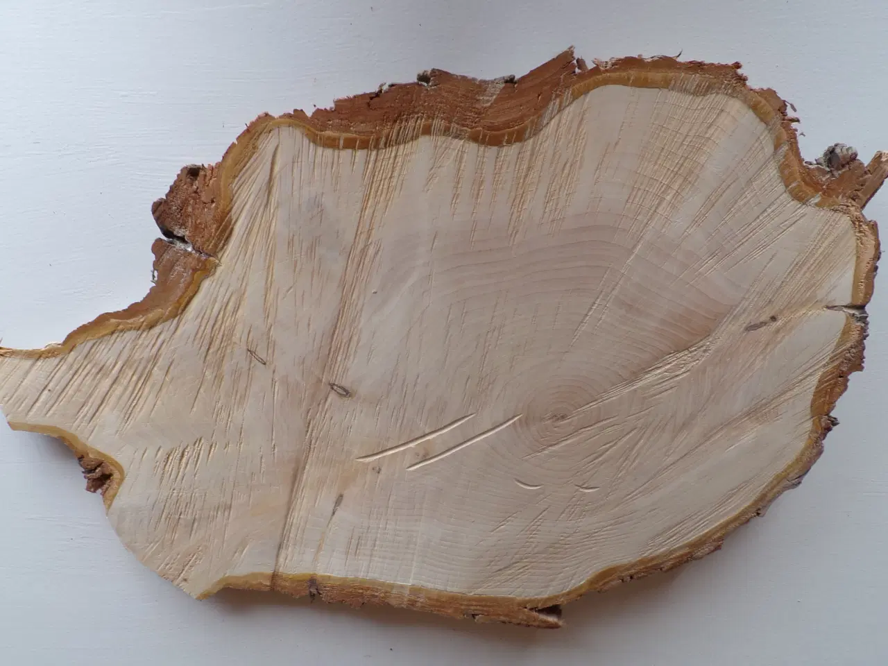 Billede 3 - NY Thuja Træskive med bark 44 cm lang
