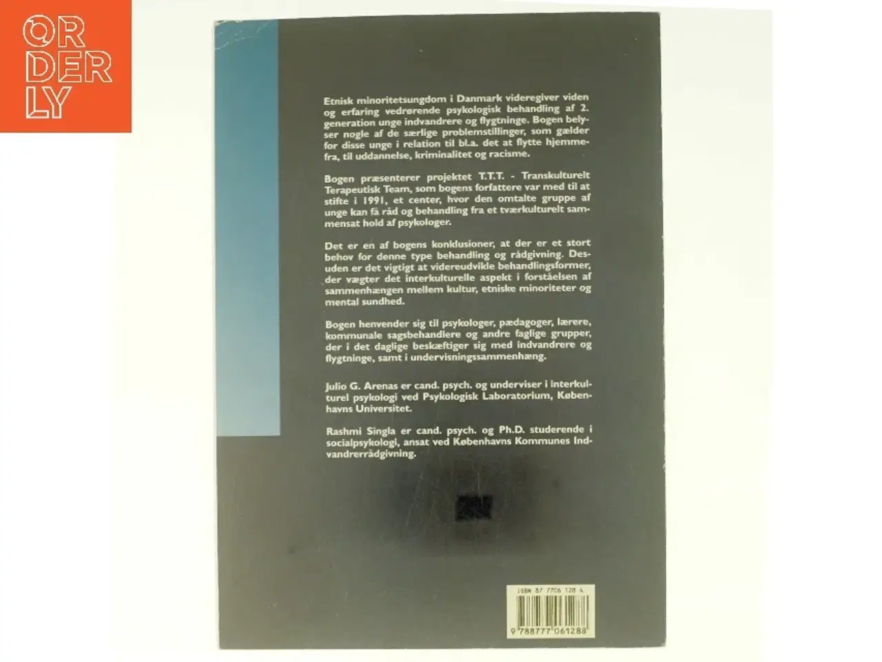 Billede 3 - Etnisk minoritetsungdom i Danmark af Julio G. Arenas, Rashmi Singla (Bog)