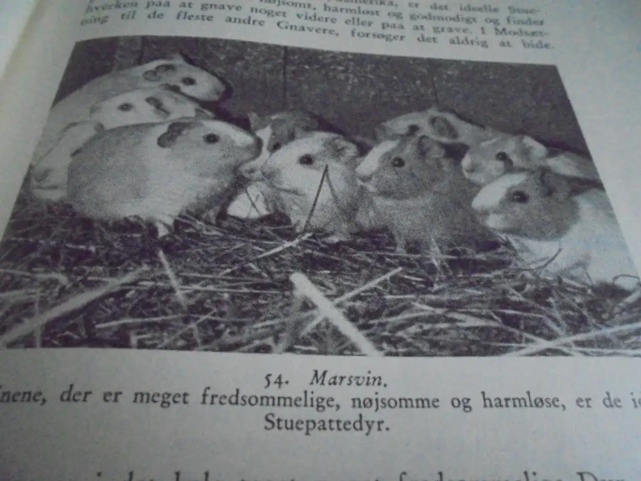 Billede 8 - Natursamleren – Hans Hvass – udg. fra 1942  