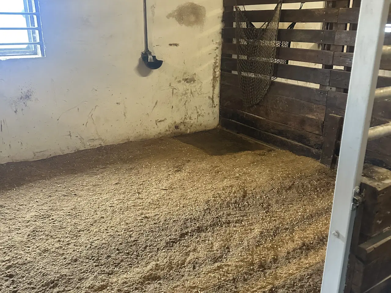 Billede 6 - Bokse udlejes i Stenstrup med ridehus på stedet