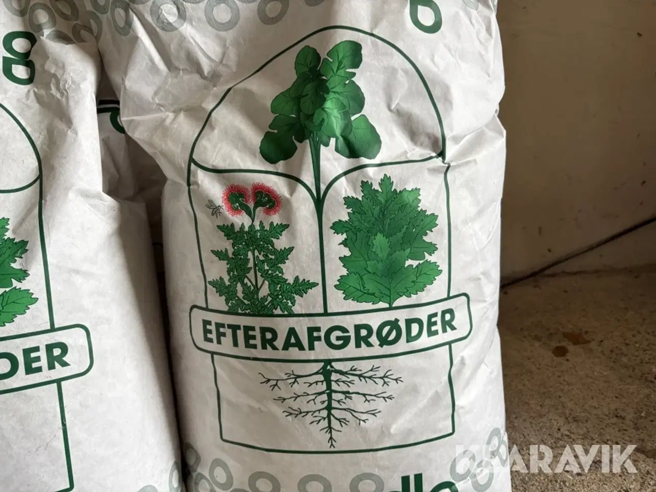 Billede 3 - Gul sennep DLG økologisk, 60 kg
